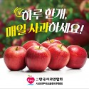 카트 광고판 제작